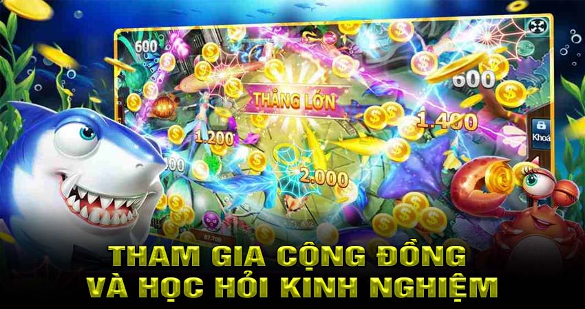 Tham gia cộng đồng và học hỏi kinh nghiệm